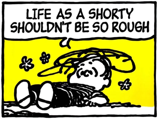 Peanuts Hip Hop Quotes Mug - Catch Body Customs